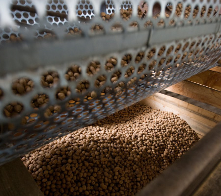 INDUSTRIA CAFETERA